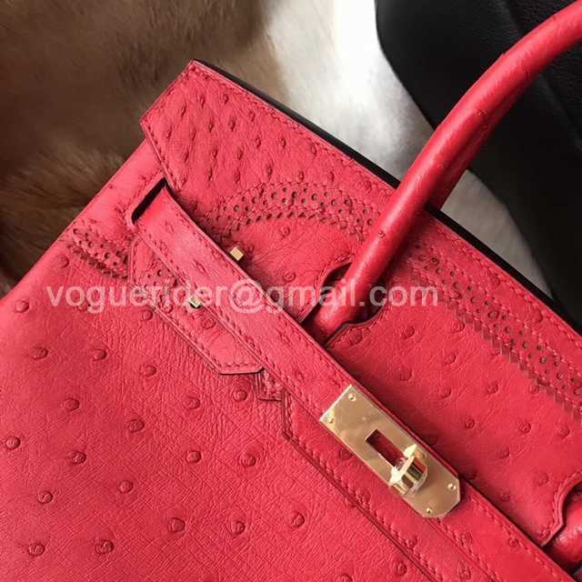 Ostrich Lace 35 Ostrich Lace 35