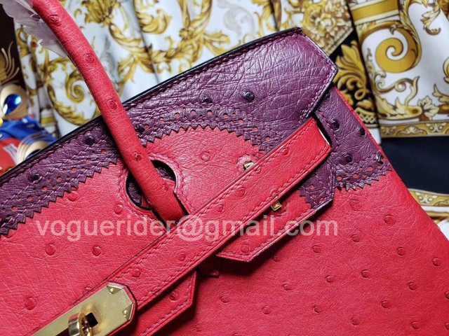 Ostrich Lace 35 Ostrich Lace 35