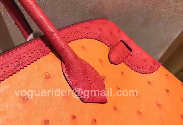 Ostrich Lace 35 Ostrich Lace 35