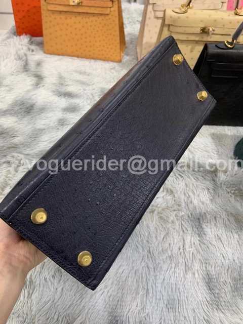 Ostrich 28 Ostrich 28