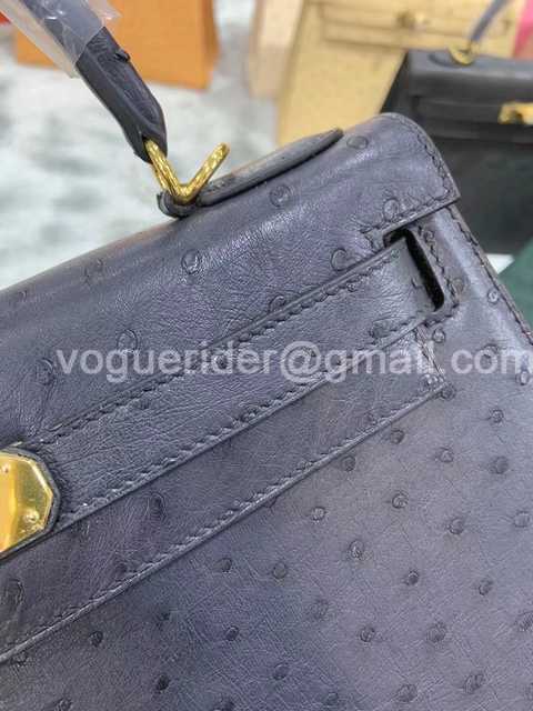 Ostrich 28 Ostrich 28