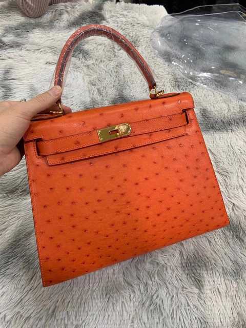 Ostrich 28