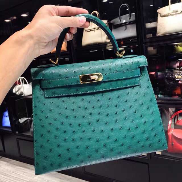 Ostrich 28
