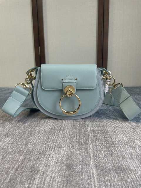 6027 Tess 20