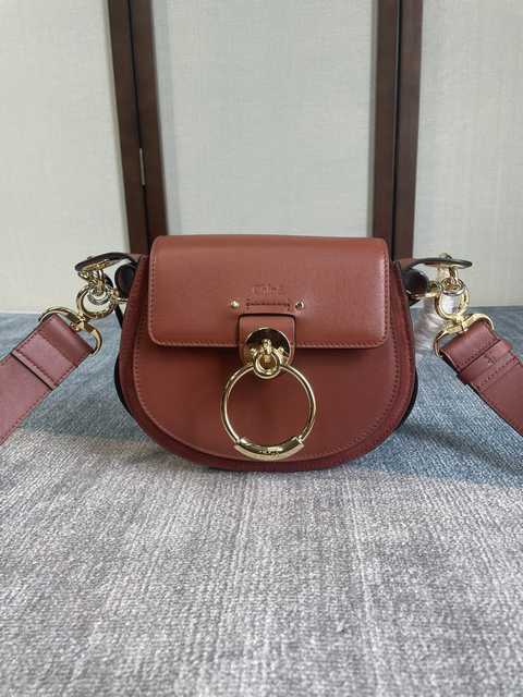 6027 Tess 20
