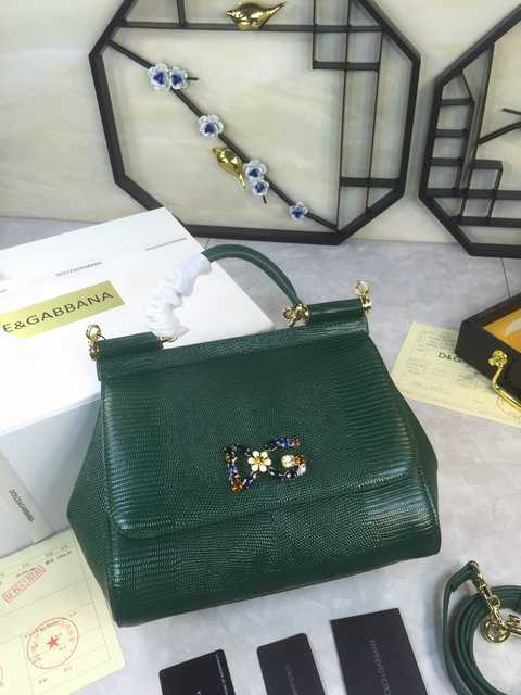 4136 Dolce & Gabbana 25 Lizard Texture