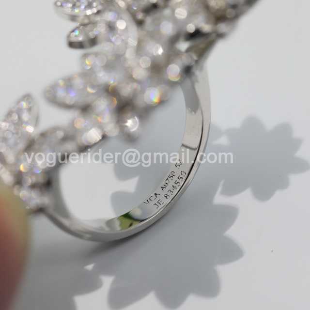 vca jwl6836