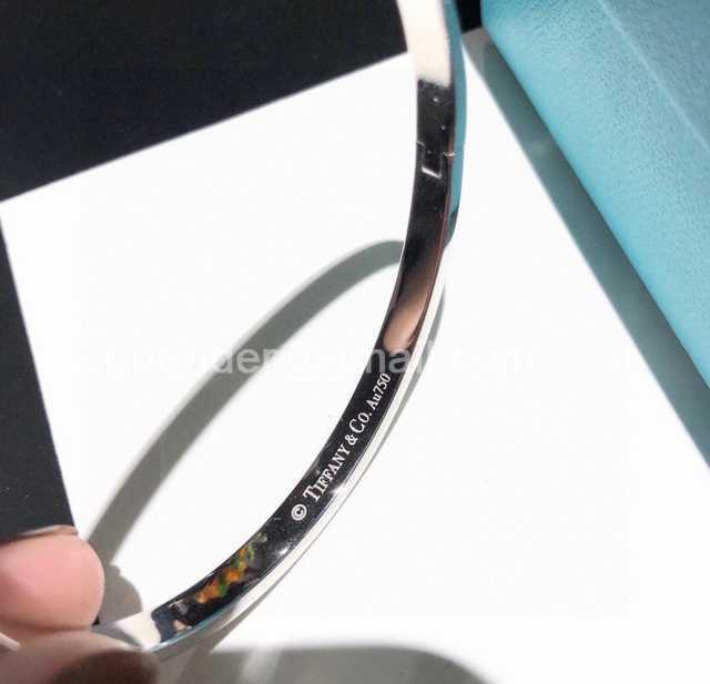 Tiffany T1 jwl7394