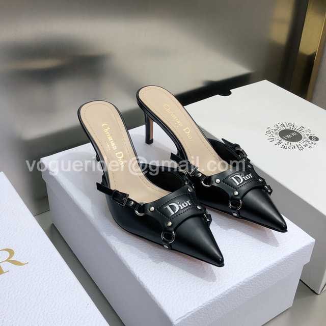 Dior 2022 Mules Dior 2022 Mules