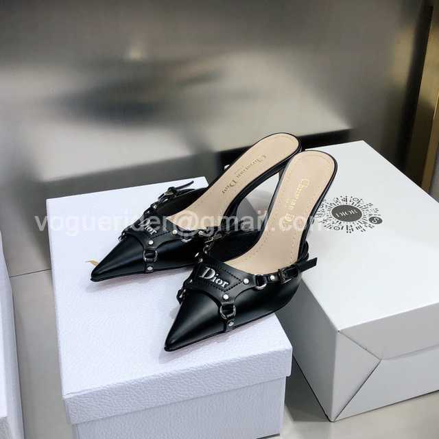 Dior 2022 Mules Dior 2022 Mules