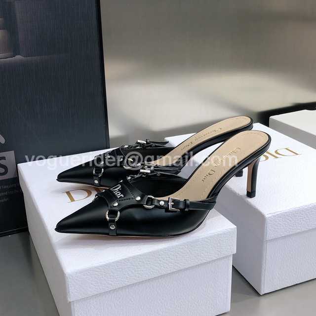 Dior 2022 Mules Dior 2022 Mules