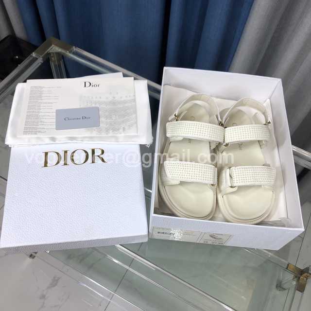Dior 2021 sticker