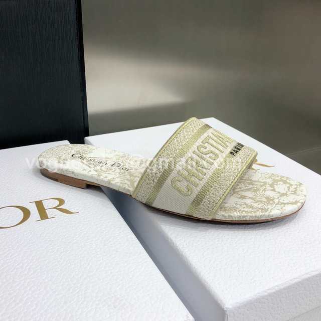 Dior 2021 Dway
