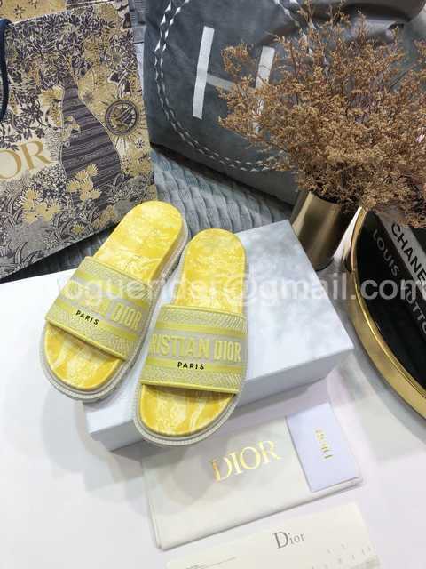 Dior 2021 Reverse Dior 2021 Reverse
