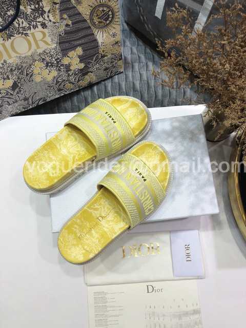 Dior 2021 Reverse Dior 2021 Reverse