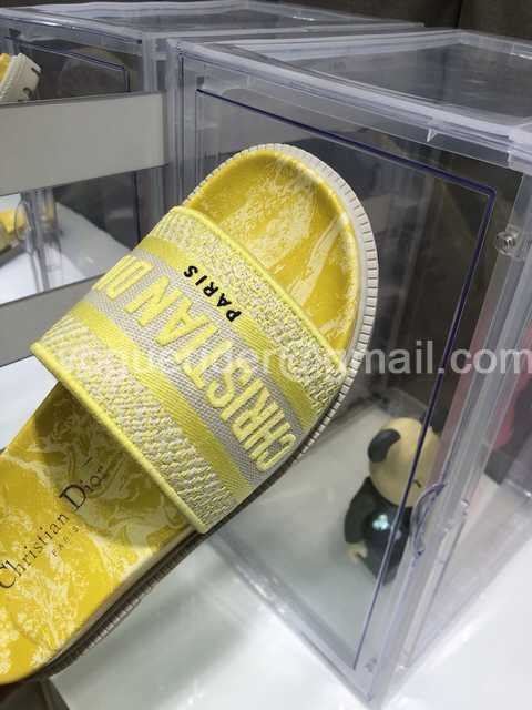 Dior 2021 Reverse Dior 2021 Reverse