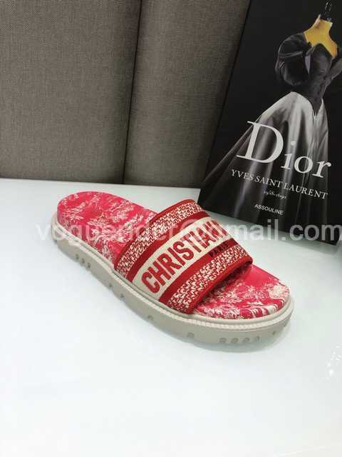 Dior 2021 Reverse Dior 2021 Reverse