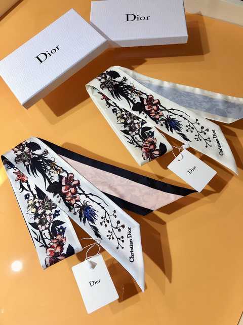 SS10026 Dior