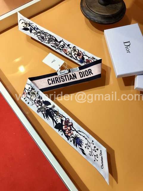 SS10026 Dior