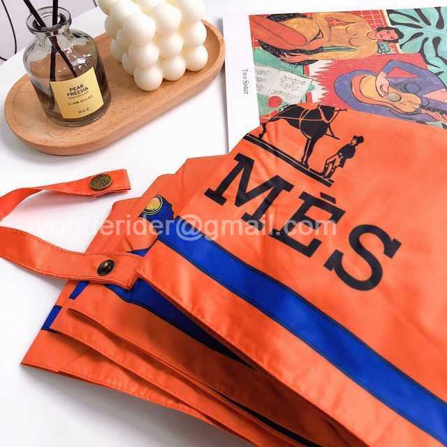 UM10022 Hermes
