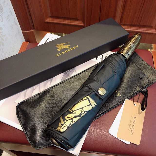 UM10029 Burberry