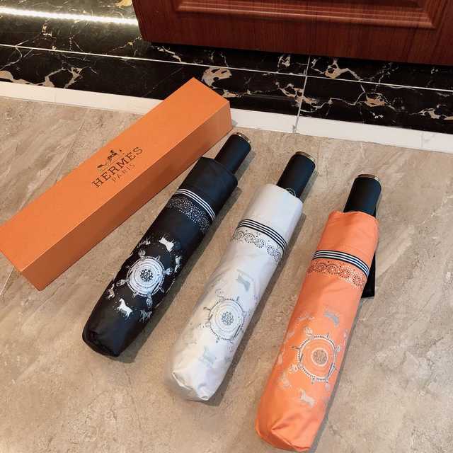 UM10036 Hermes