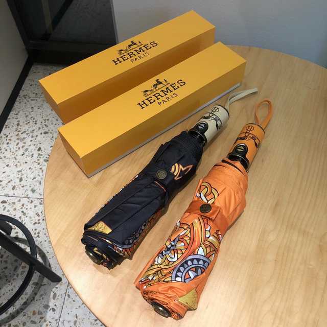 UM10040 Hermes