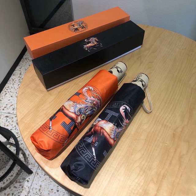 UM10041 Hermes