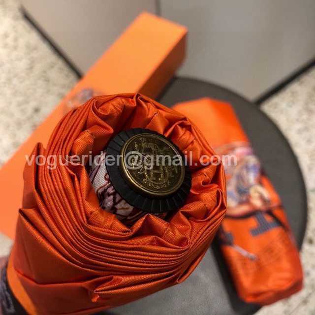 UM10041 Hermes