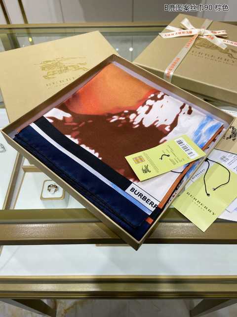AR10007 Burberry