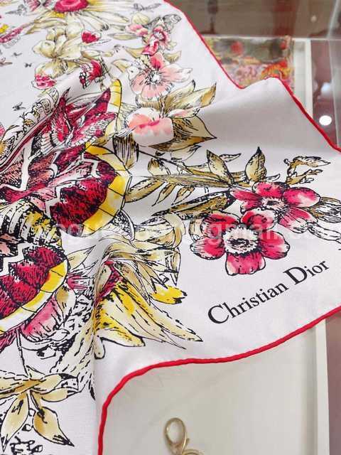 AR10042 Dior AR10042 Dior