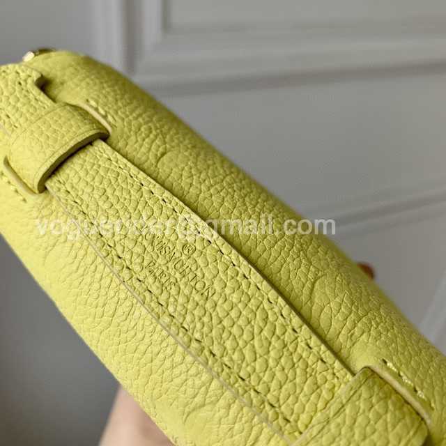 DE10023 LV Chain Bag