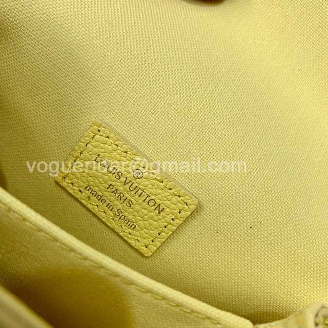 DE10023 LV Chain Bag